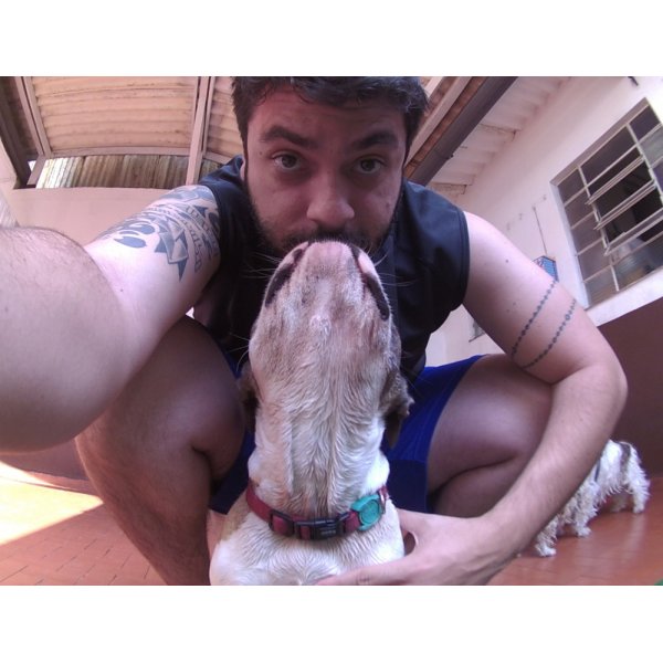 Contratar Serviço de Daycare Canino na Bairro Casa Branca - Dog Care em São Caetano