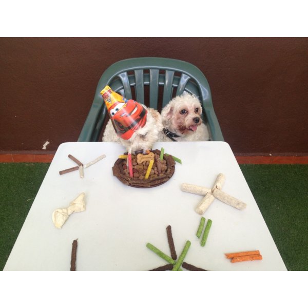 Passeadores de Cachorros Quanto Custa no Jardim Pinheiros - Dog Walker em Santa Paula