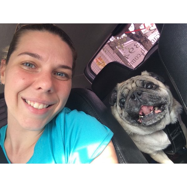 Serviço Dog Sitter Quero Contratar no Jardim Haddad - Dog Sitter em Santa Paula