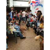 Adestradores Profissionais para Cachorro preços no Parque Vila Maria