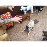 Adestramentos de Cachorro valor no Parque Andreense