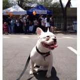 Hotel para Cães com valor baixo na Vila Lutécia