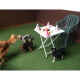 Onde encontro Empresa de Adestradores de Cães no Jardim São Bento