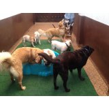 Serviço Dog Sitter quano custa na Vila Miranda