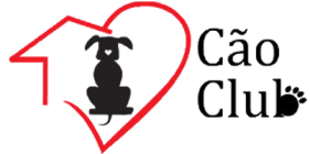 Daycare Cachorro - Adestradores